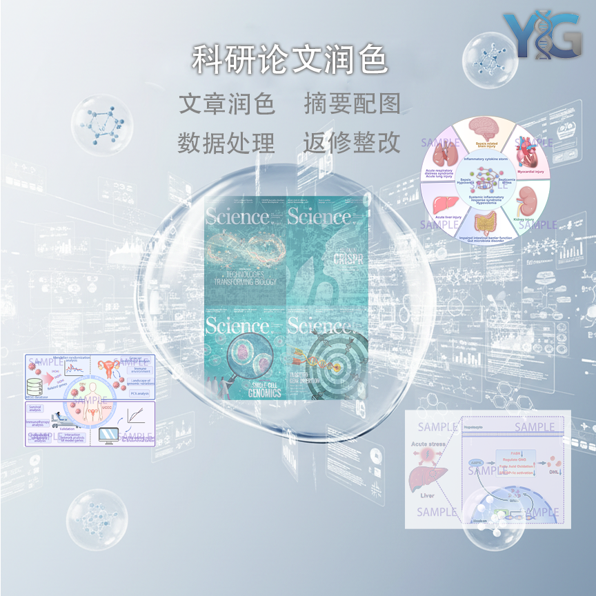 文章润色